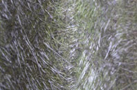 Vennington fibreglass roof work